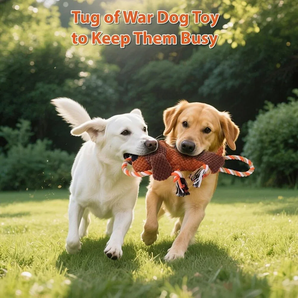 Plush Dog Toys with Rope, Squeaker & Crinkle Paper Interactive Squeaky Chew